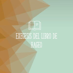 Banner_hageo